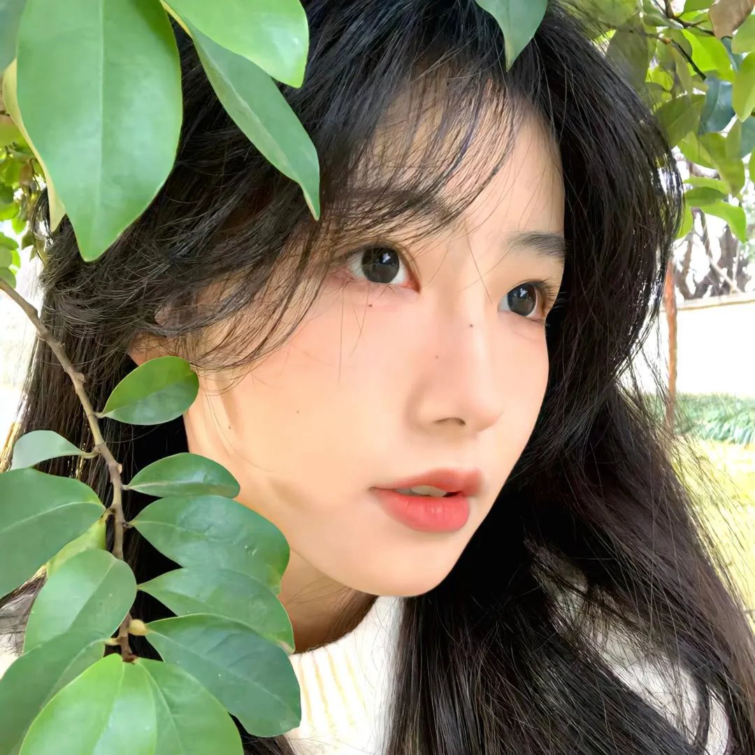 各有少年时